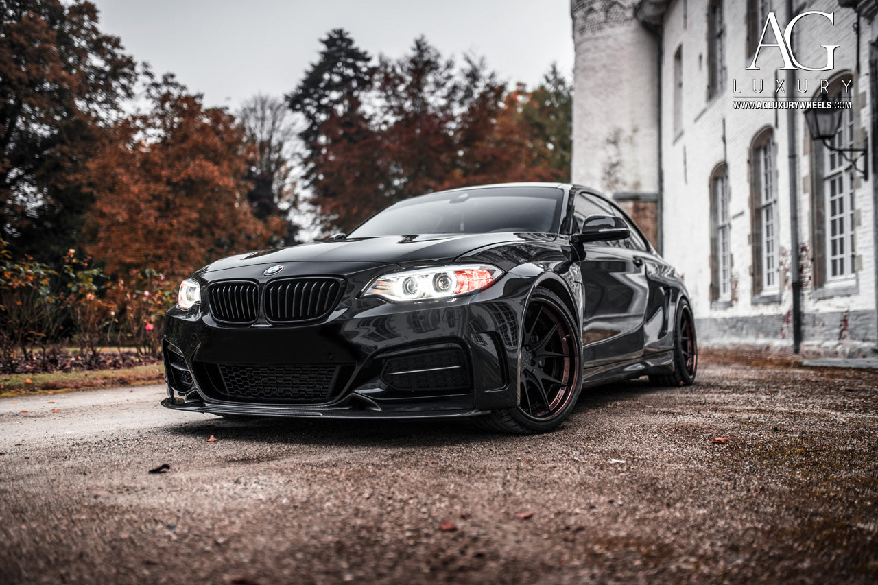 BMW N55